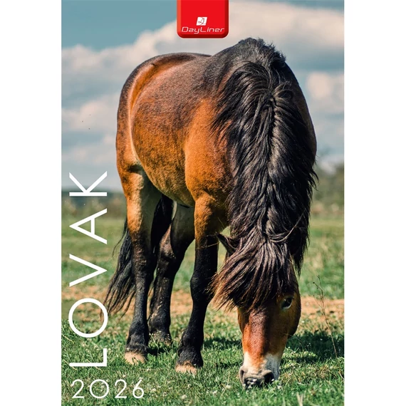 Falinaptár képes 230 x 330 mm, fehér lapokkal Lovak Dayliner 2026.