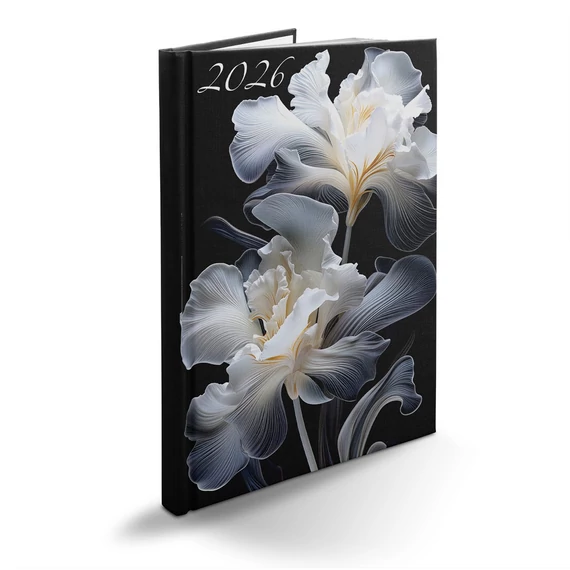 Határidőnapló Picture B/5, heti fehér lapokkal írisz Realsystem 2026.