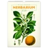Kép 1/3 - Falinaptár képes  330×460mm Vintage Posters-Herbarium Realsystem 2026.