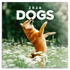 Kép 1/4 - Falinaptár képes lemeznaptár 300x300mm, Dogs Realsystem 2026.